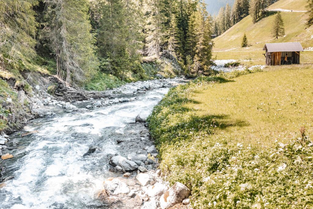 Natur in Davos Clavadel