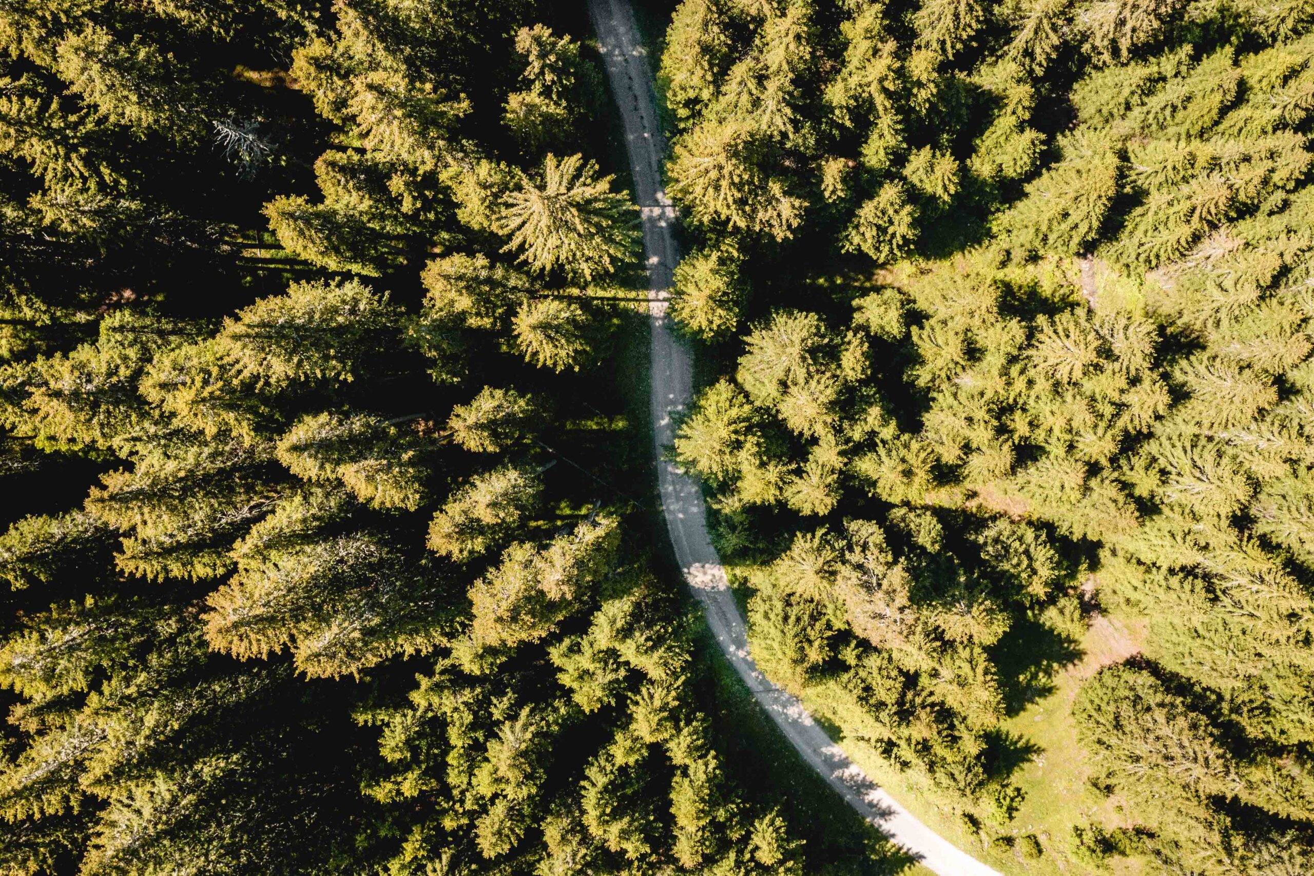 Strasse nach Davos Clavadel