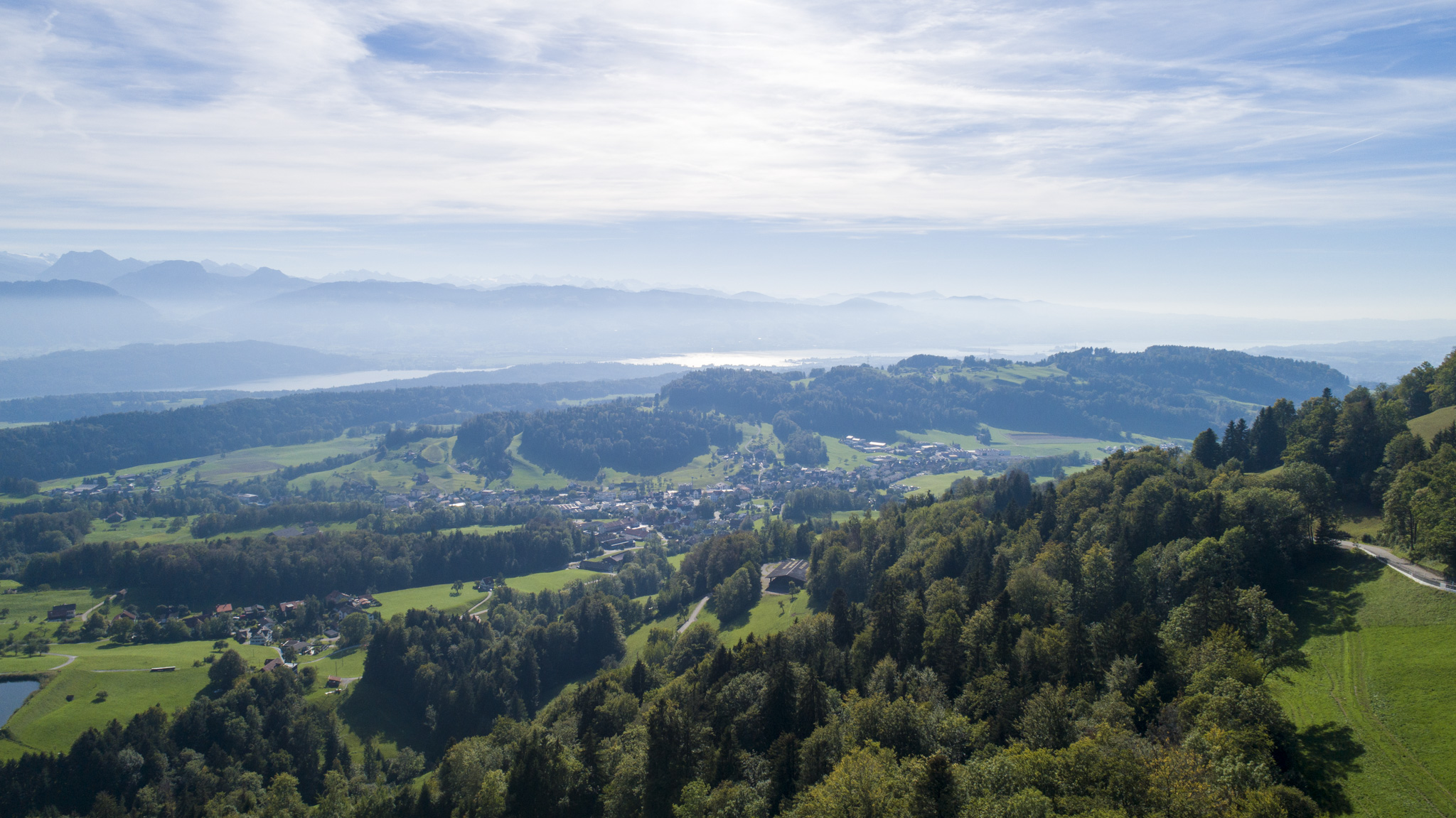 Aussicht von der Klinik Wald von oben ins Grüne; Panorama